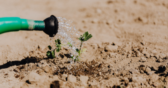 Get the foundations right if you want positive cash flow for your business