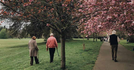 Financial elder abuse increased due to the pandemic, how can you protect yourself?